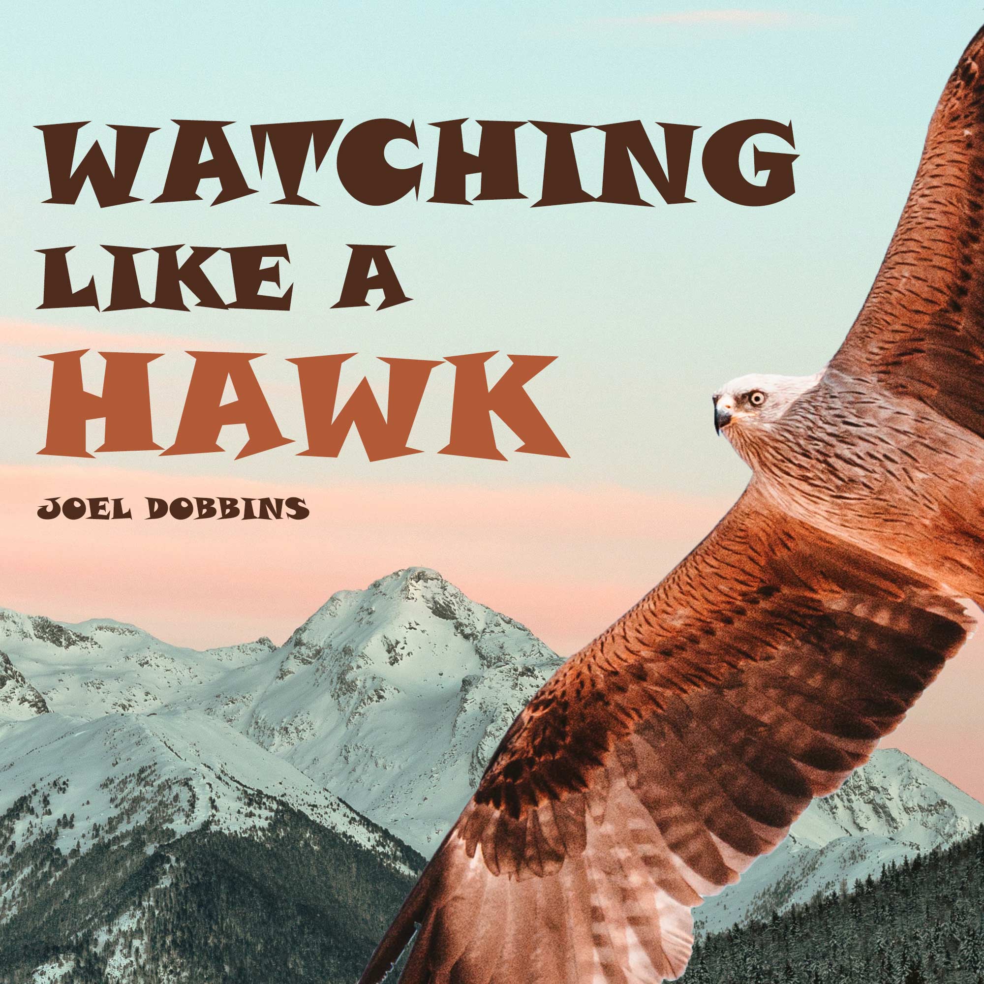 Joel Dobbins: Watching Like A Hawk Watching Like A Hawk